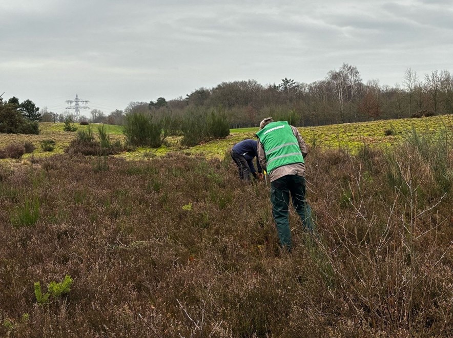 Meer Bomen Nu-actie op golfbaan